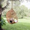 wicker hanging chair hanging on tree